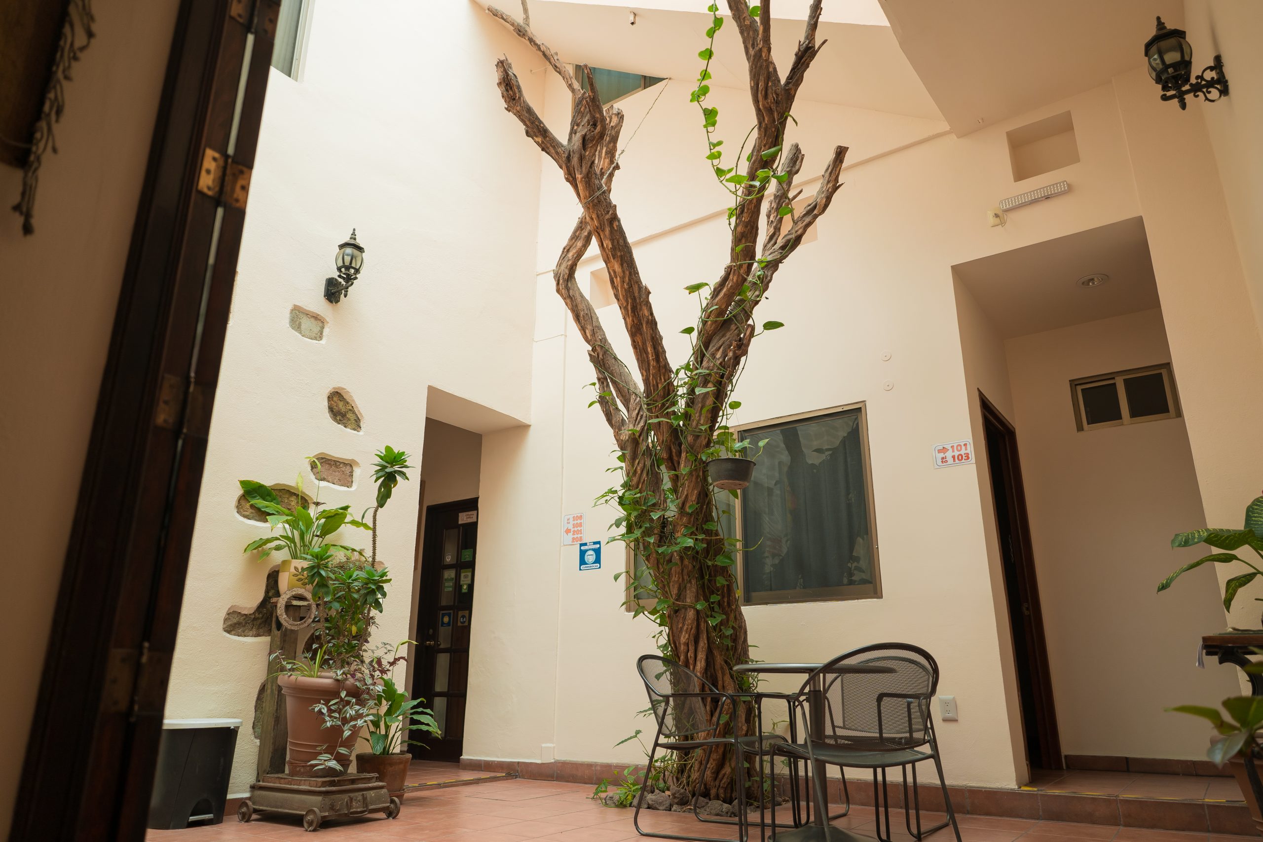 DSC08764 - Hotel Don Nino
