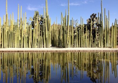 Jardín Etnobotánico de Oaxaca